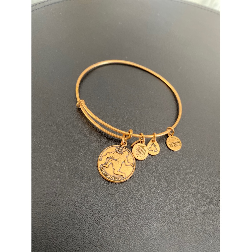 Alex and Ani / Gold Aquarius Charm Bangle